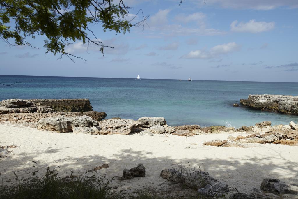 Villa Bougainvillea Aruba, The Tango Suite 팜비치 외부 사진